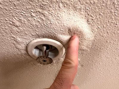 About Mayville Black Mold Removal - black mold removal experts in Mayville